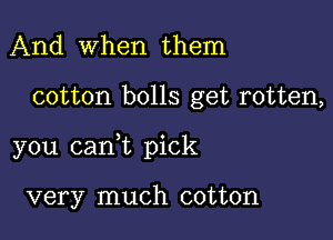 And when them

cotton bolls get rotten,

you 031an pick

very much cotton