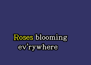 Roses blooming
eVryWhere