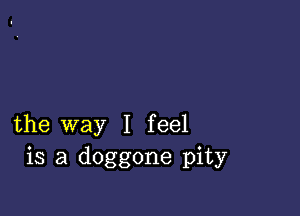 the way I feel
is a doggone pity