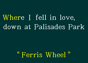 Where I fell in love,
down at Palisades Park

( Ferris Wheel )