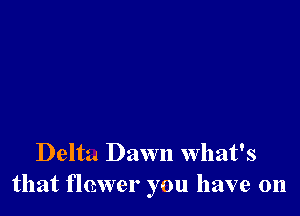 Delta Dawn What's
that flewer you have on