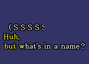 C S-S-S-S-E

Huh,
but Whats in a name?