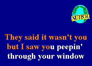 fgg
- 1
- 1

They said it wasn't you
but I saw you peepin'
through your window