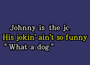 Johnny is the jc

His jokirf aidt so funny
(( What a dog ,)