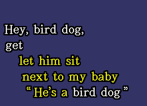 Hey, bird dog,
get

let him sit

next to my baby
He,s a bird dog ,,