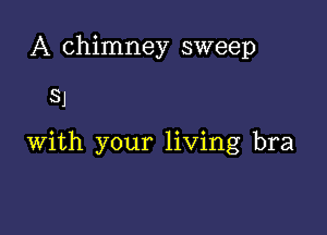 A chimney sweep

SJ

with your living bra