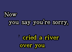 Now
you say you re sorry,

cried a river
over you