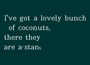 Fve got a lovely bunch
of coconuts,

there they
are a-stanx