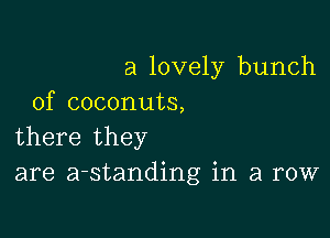 a lovely bunch
of coconuts,

there they
are a-standing in a row