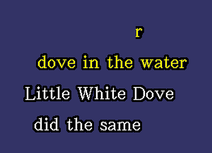 I

dove in the water

Little White Dove

did the same