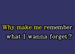 Why make me remember

What I wanna forget?