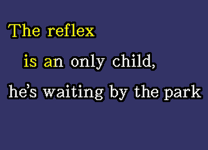 The reflex

is an only child,

he,s waiting by the park