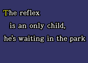 The reflex

is an only child,

he,s waiting in the park