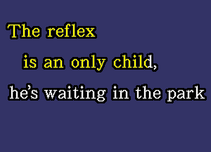 The reflex

is an only child,

he,s waiting in the park