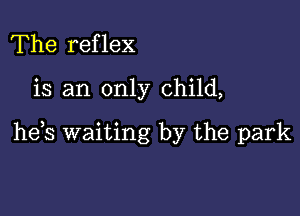 The reflex

is an only child,

he,s waiting by the park