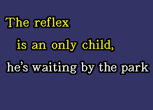 The reflex

is an only child,

he,s waiting by the park