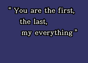 ( You are the first,
the last,

my everything )