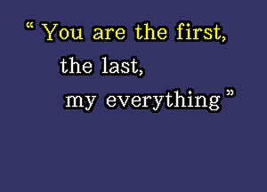 ( You are the first,
the last,

my everything )