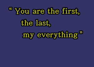 ( You are the first,
the last,

my everything )