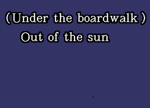 (Under the boardwalk)
Out of the sun