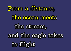 From a distance,
the ocean meets

the stream,

and the eagle takes
to flight