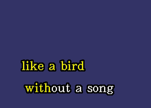 like a bird

without a song