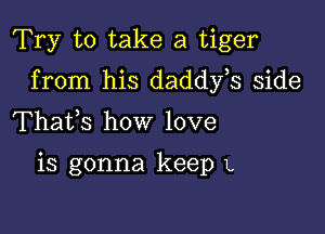 Try to take a tiger

from his daddfs side

Thafs how love

is gonna keep L