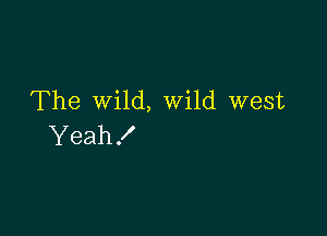 The wild, Wild west

Yeah !