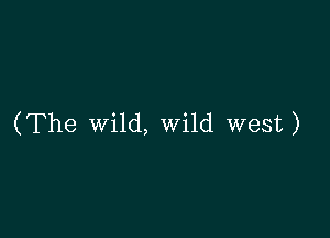 (The wild, Wild west)