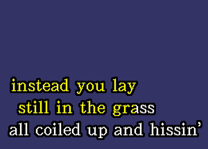 instead you lay
still in the grass
all coiled up and hissin,