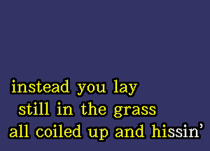 instead you lay
still in the grass
all coiled up and hissin,