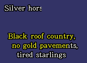 Silver hors

Black roof country,
no gold pavements,
tired starlings