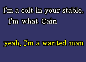 Fm a colt in your stable,

Fm What Cain

yeah, Fm a wanted man