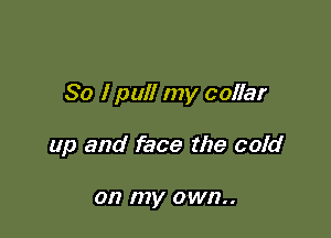 So I pull my collar

up and face the cold

on my own