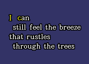 I can
still feel the breeze

that rustles
through the trees