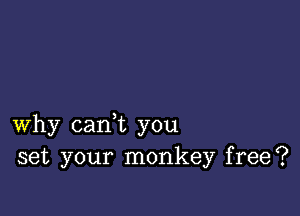 why cam you
set your monkey free?