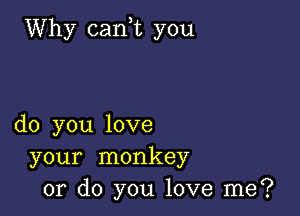 Why can,t you

do you love
your monkey
or do you love me?