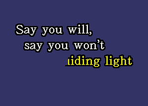 Say you Will,
say you wonbu

tiding light