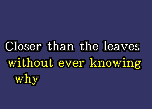 Closer than the leaves

without ever knowing
Why