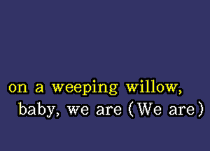 on a weeping willow,
baby, we are (We are)