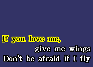 mmmmm

give me Wings
Don t be afraid if I fly