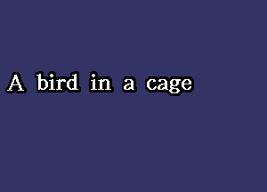 A bird in a cage