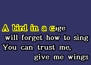 Amanaeage

Will forget how to sing
You can trust me,
give me Wings