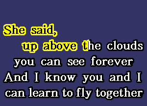 gin Exam
Q13) Qhe clouds

you can see forever
And I know you and I
can learn to f 1y together