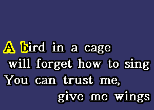 A Bird in a cage
Will forget how to sing
You can trust me,

give me Wings