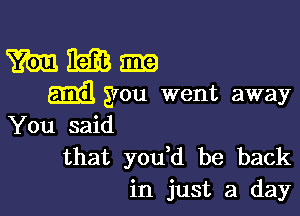 You said
that you d be back
in just a day