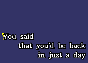 You said
that you d be back
in just a day