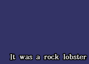 It was a rock lobster