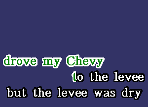 WWW

ilo the levee
but the levee was dry