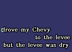 drove my Chevy
to the levee
but the levee was dry